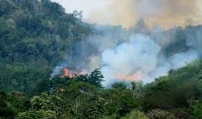 12 Titik Asap Terdeteksi di 185,5 Hektar Lahan Rohil